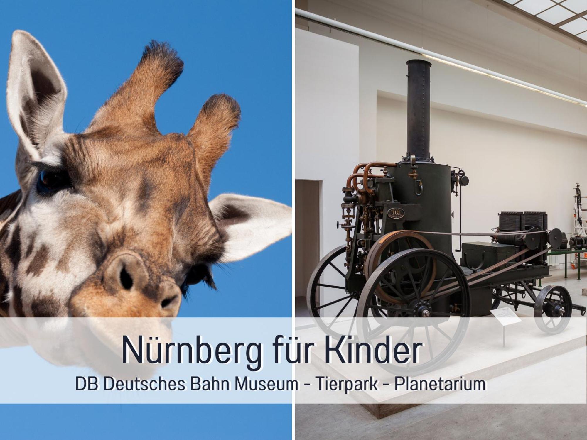 Horizon - Ferienwohnungen Playmobil Funpark Und Messe Nuernberg Mit Parkplatz 4Pers 24H Self Checkin زيمدورف المظهر الخارجي الصورة